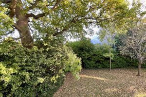 Photo 15- click for photo gallery